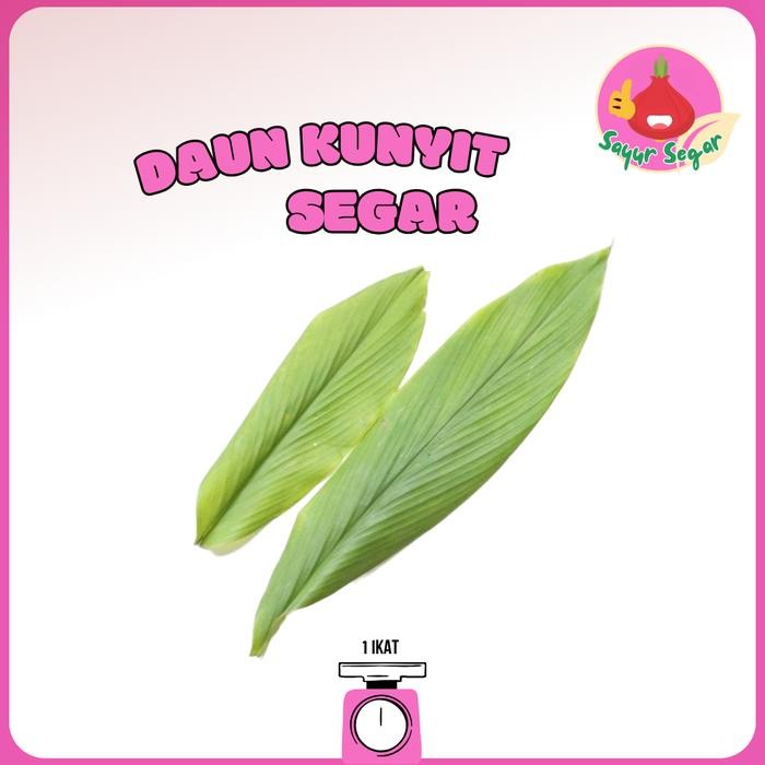 

Terlaris Daun Kunyit 1Ikat - Bawangbagus