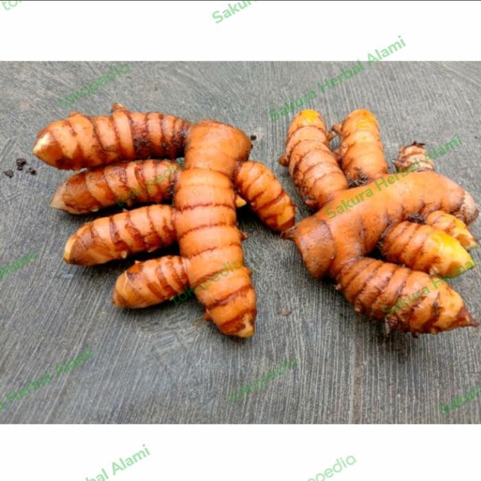 

Terlaris Kunyit Kuning Bumbu Masak 100Gram Bersih