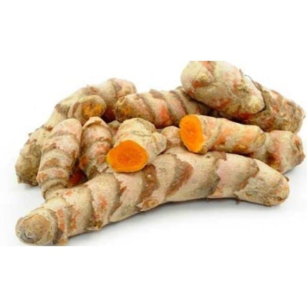 

Terlaris (Promo) Promo Kunyit Segar Harga Per 1 Kg