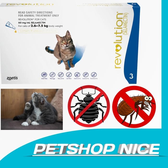 revolution cat / revolution cat adult / obat kutu kucing revolution