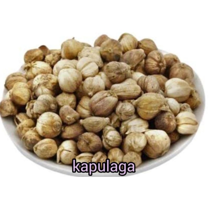 

Sensasi Lezat Kapulaga Super Rp 13.000 / 100 Gram