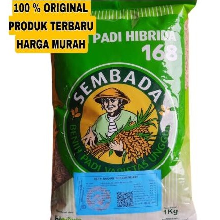 Benih Bibit padi Unggul Sembada 168