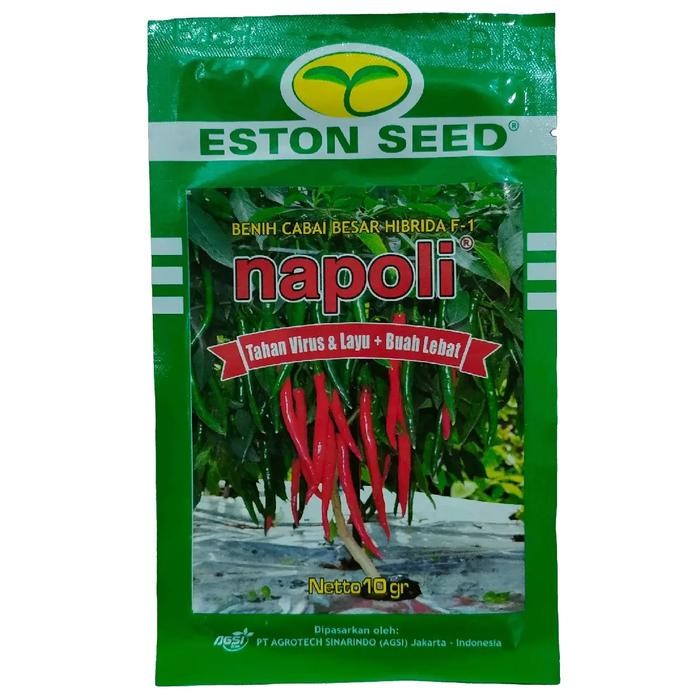 Cabe Besar Napoli F1 Tahan Virus Kemasan 10gr Original Benih Cabai Hijau