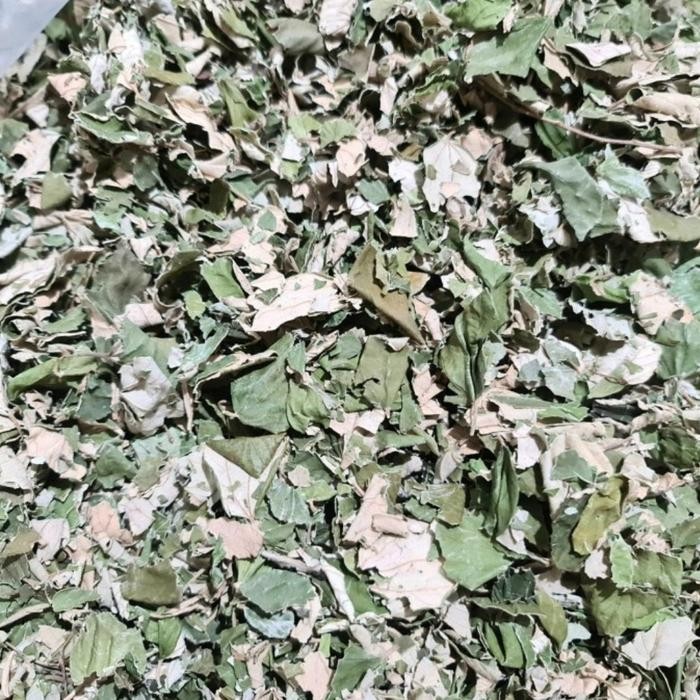 

TERMURAHH!! Daun Bidara Arab Kering 100gr - Daun Bidara Ruqyah