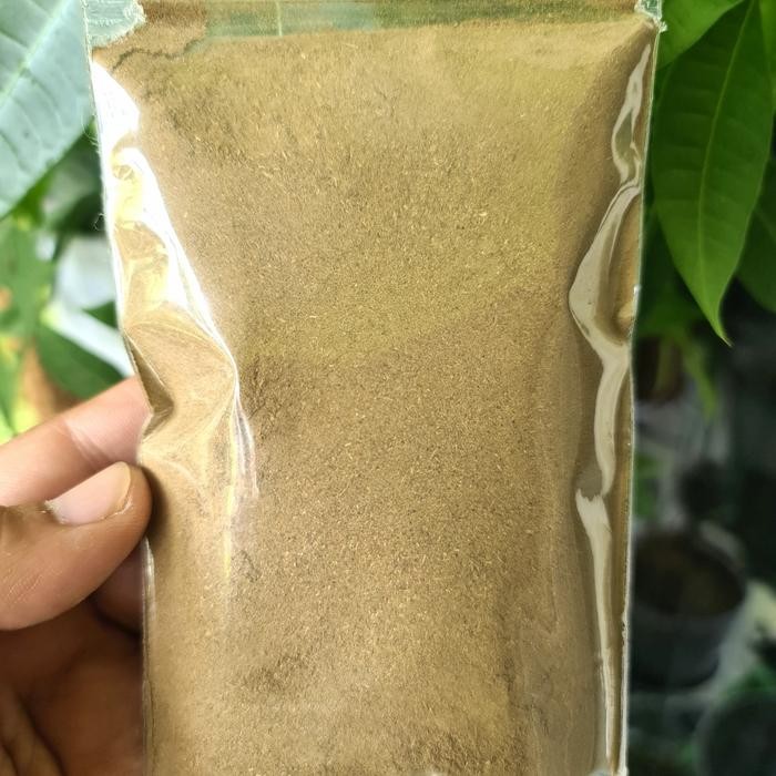 

TERMURAHH!! Bubuk Daun Sirih Hijau 100gr Original Tanpa Campuran