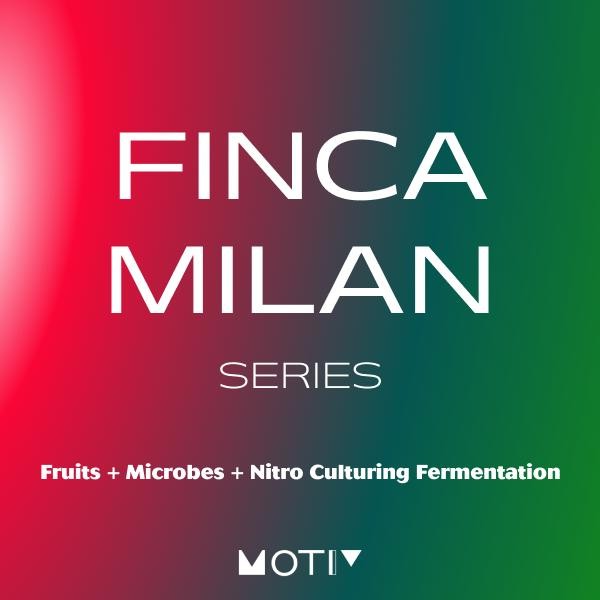 

Finca Milan - Motiv Coffee - Biji Kopi