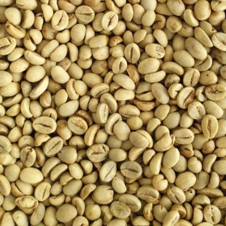 

Biji Kopi Robusta Poles/Selep (After Polish) WBB (Grade 1 Biji Besar)