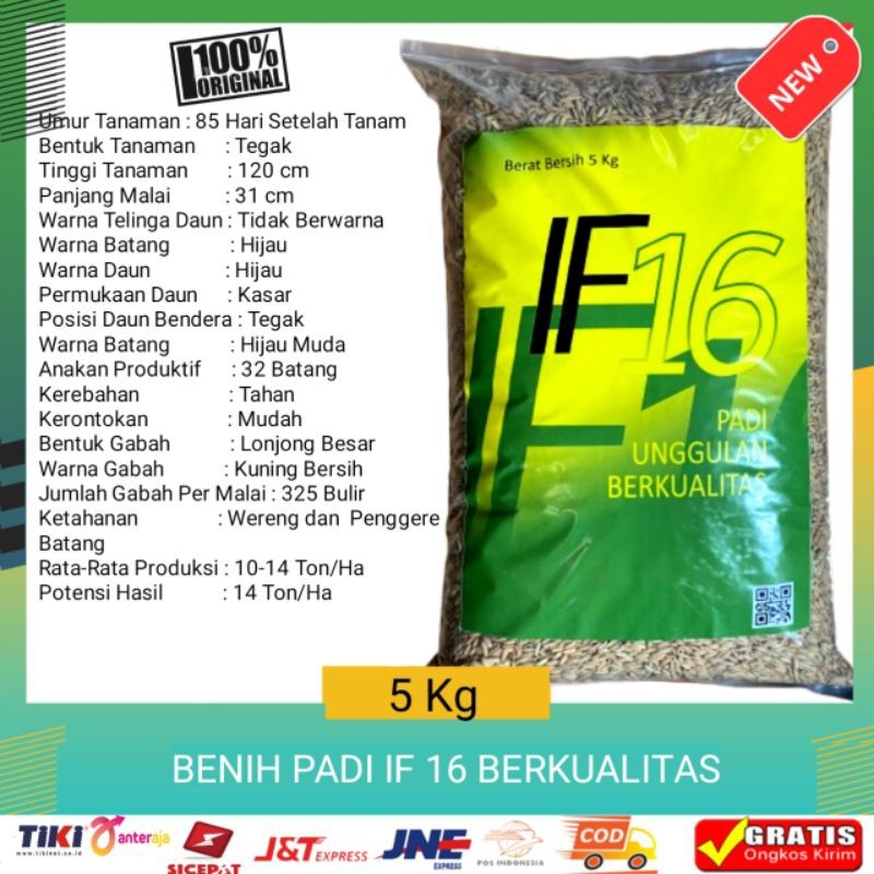 Pinan Shop Benih Bibit Padi Unggul If 16 5Kg