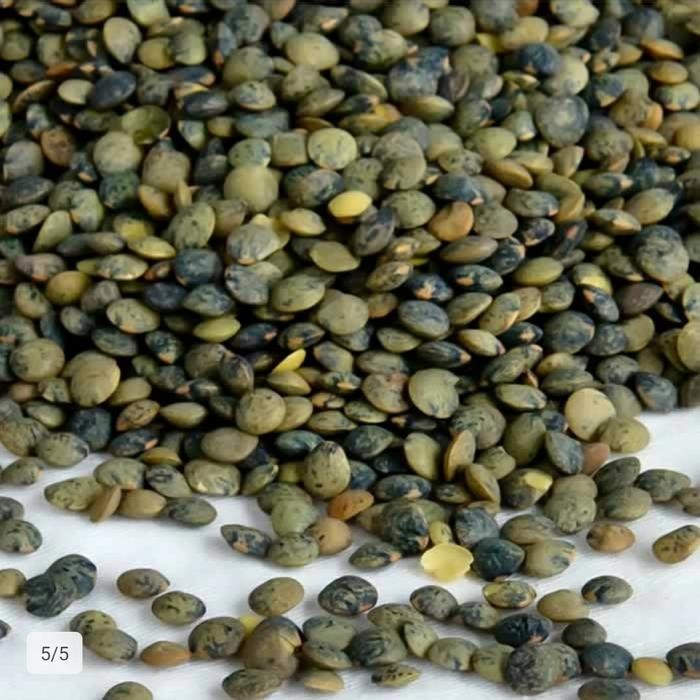 

Green Lentils 1kg / Lentil Hijau / Du Puy 1kg