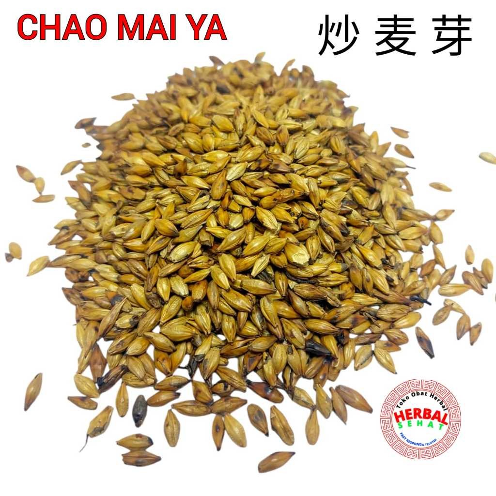 

Chao Mai Ya 100 Gram Maiya - Fructus Hordei Germinatus - Chao Mak Nga PREMIUM