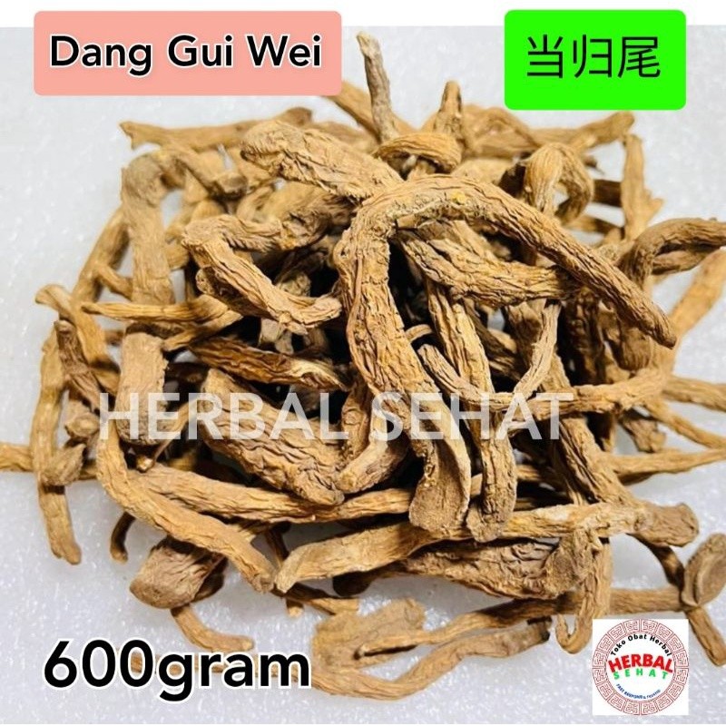 

Dang Gui Wei Tang Kui / Tang Kwei / Tangkui / Tang Kwi / Tong Kui /Radix Angelicae Sinensis PREMIUM