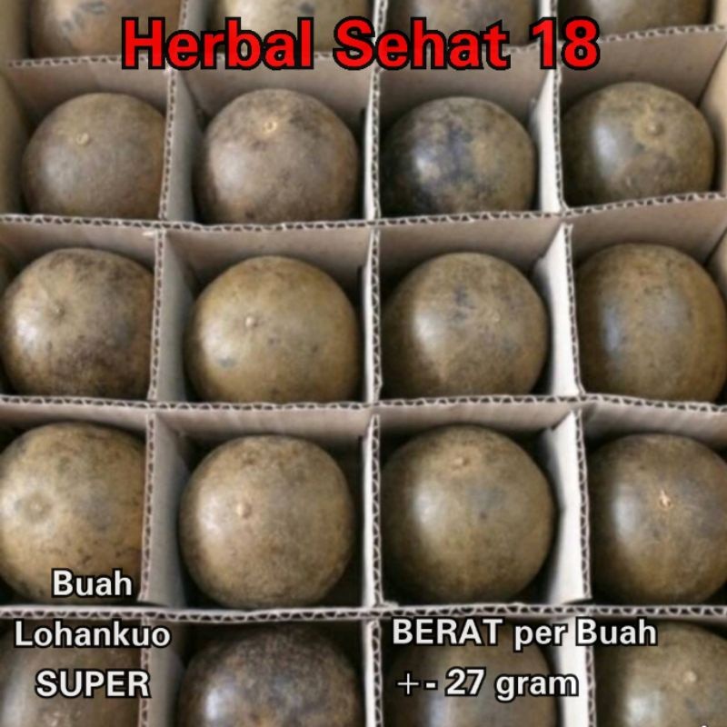 

Buah Lohankuo SUPER Lohanko 1 Box Isi 20 Buah / Lohanko Lo Han Ko Lohanguo Lo Han Guo / Lo Han Kuo