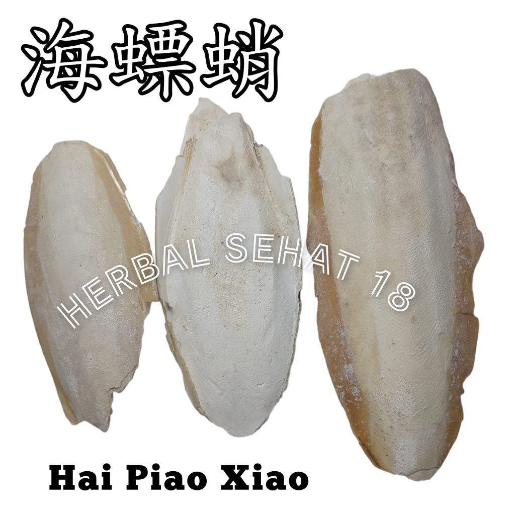 

Hai Piao Xiao 100Gram Wu Zei Gu Cuttlefish Bone Cuttlebone PREMIUM