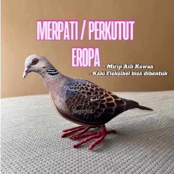 Patung Burung Perkutut Eropa / Merpati Eropa