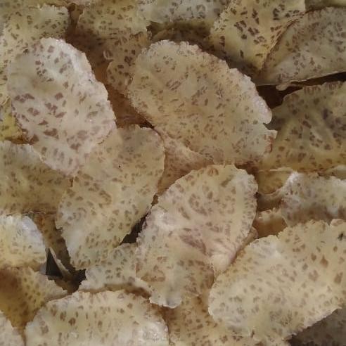 

Kerupuk Jengkol Mentah Asli Dari Padang Terlaris