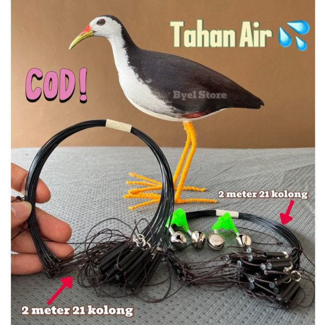 Jebakan Jerat Burung ruak ruak sawah kareo padi