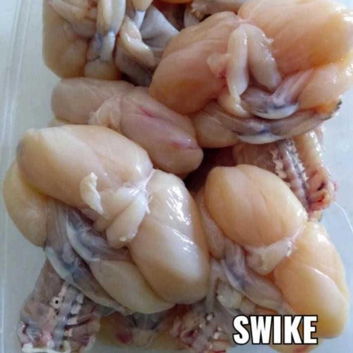 

Swike / Daging Kodok / Katak Terlaris