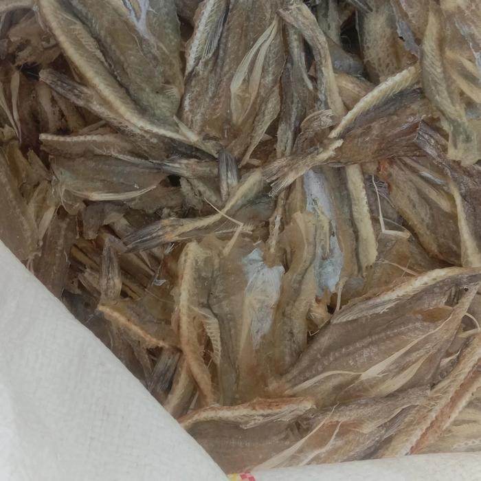 

Ikan Asin Tipis Tarakan 1Kg Termurah Best Quality Asli 100% Original