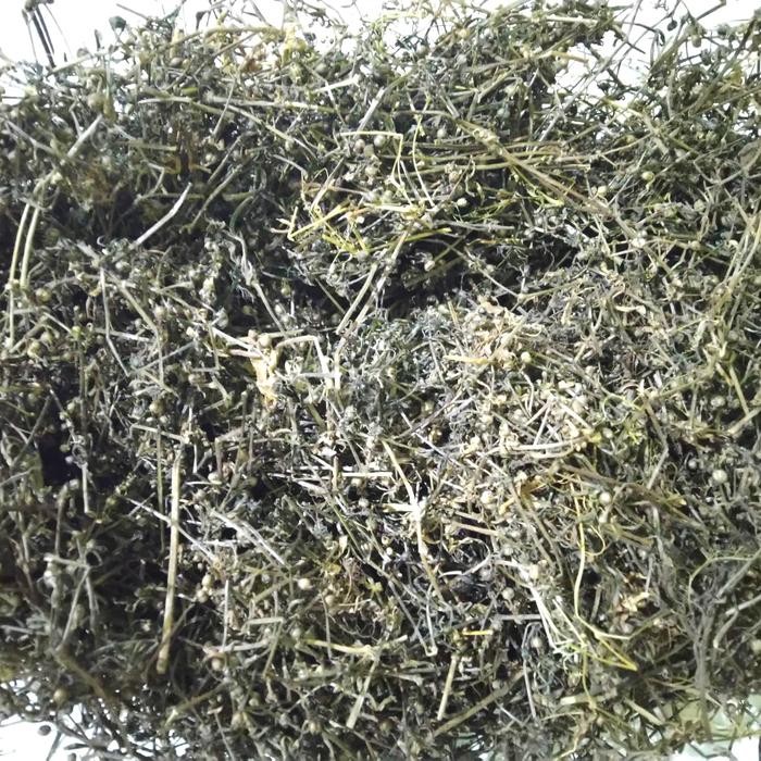 

TERMURAHH!! Rumput Mutiara Kering Asli 1kg