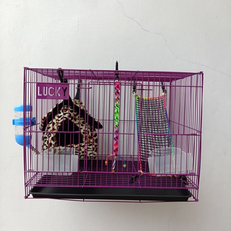 Paket Kandang Sugar Glider Istimewa, Kandang Sugar Glider Kandang Lucky