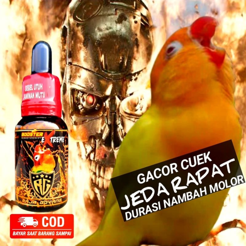 OIL BOOSTER EXTREME RG/ VITAMIN BURUNG LOVEBIRD TERBARU RAJAGOYANG/VITAMIN LOVEBIRD KONSLET/COD