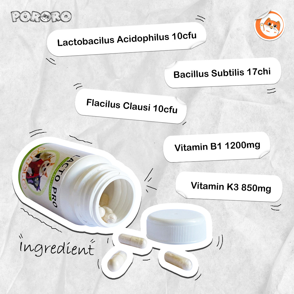 PORORO Vitamin Suplemen Pencernaan Kucing Lacto Pro 50 Capsules