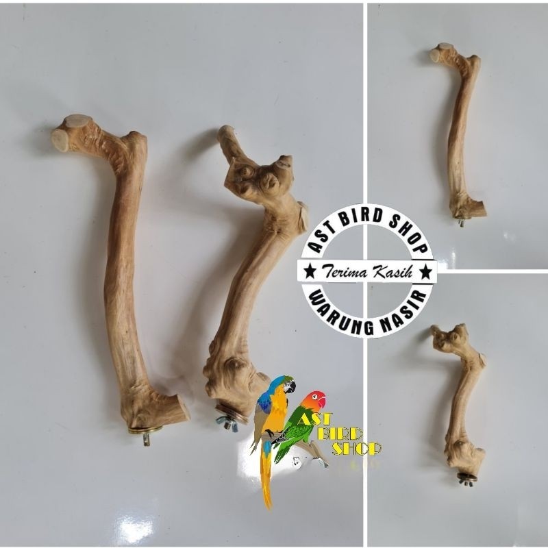 Perch tangkringan parrot tunggal berkelok
