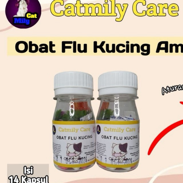 Obat Flu Kucing Ampuh