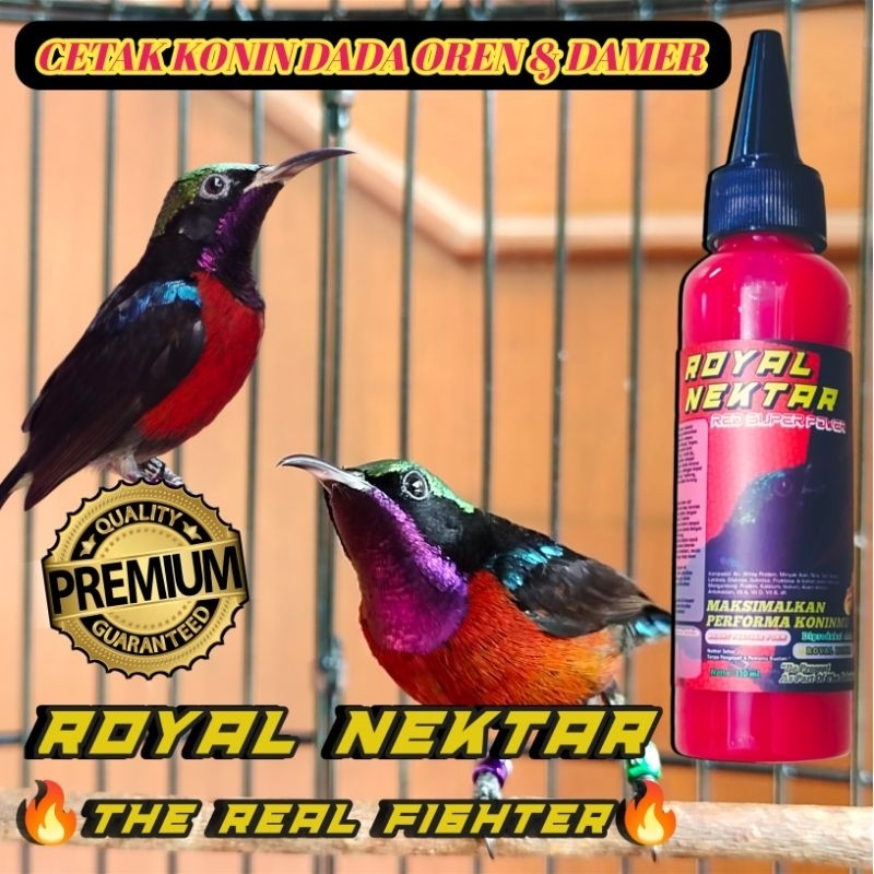 Royal Nektar Red Super Power Nektar Harian & Lomba Kolibri Ninja Cetak Konin Jadi Damer Sogon Kuning
