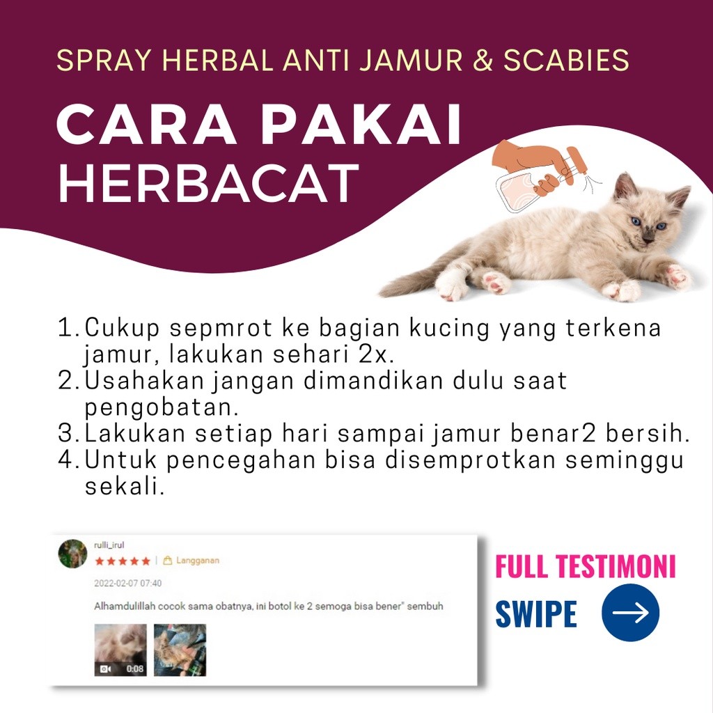 Obat kucing jamuran cay Spray obat jamur kucing aman basmi jamur kitten