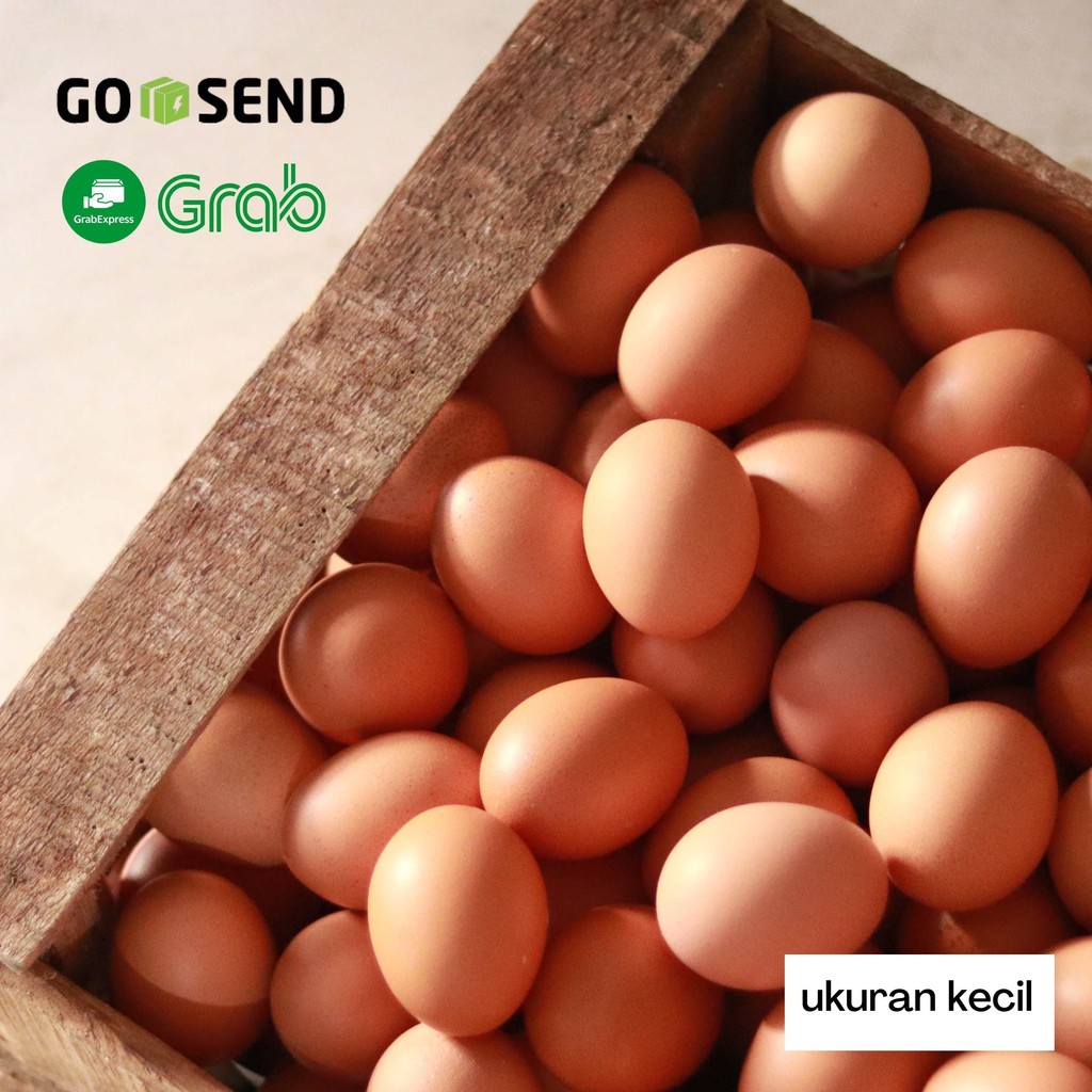 

Telur / Telor Ayam Fresh (per kg) ukuran kecil Supplier / Distributor Telur Bandung