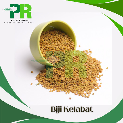 

Halba Biji Kelabat Alami Fanugreek Seed Premium / Bumbu Pelengkap Masakan Hulbah Biji Klabet Methi Seed Pusatrempah