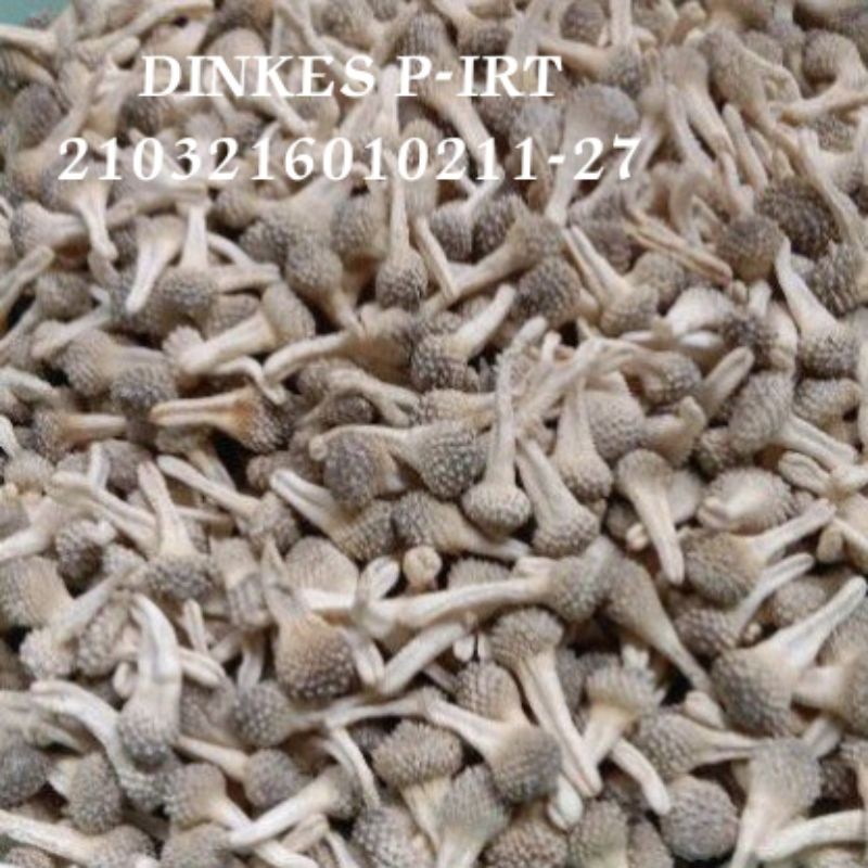 Empot Ayam Putih Madura 250gr DINKES P-IRT