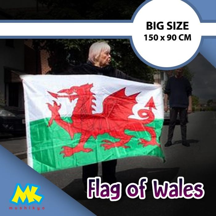 

Flagers - Bendera Wales Ukuran Besar - Flag