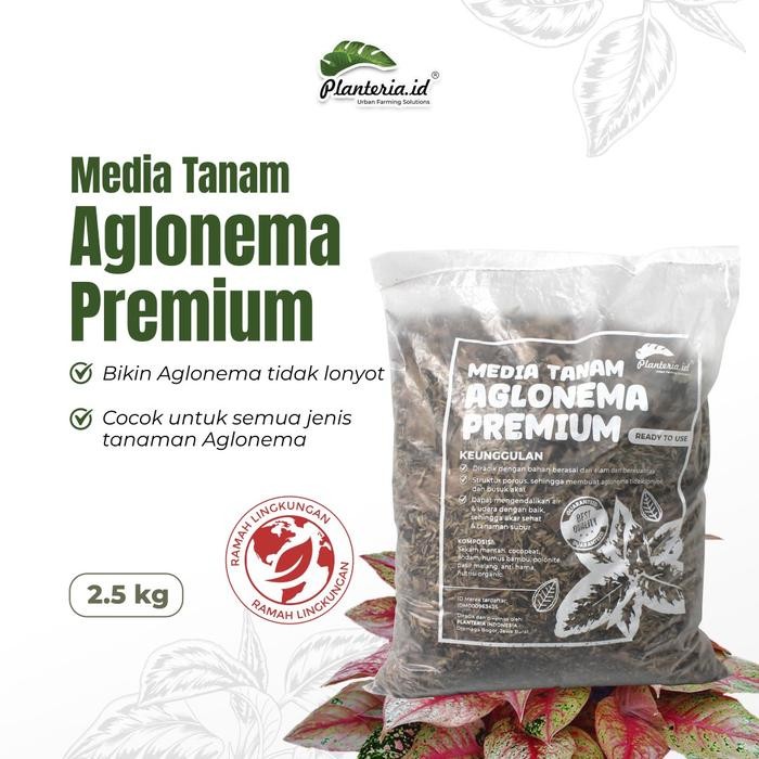 Media Tanam Aglonema Fermentasi Media Tanam Premium 2,5KG BY PLANTERIA.ID Tanah Tanaman