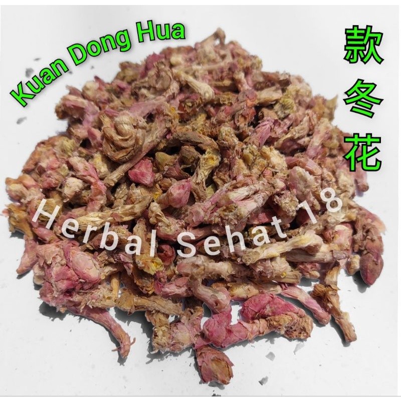 

Kuan Dong Hua 50 gram Tung Fa Tung Hua Flos Farfarae [PREMIUM]