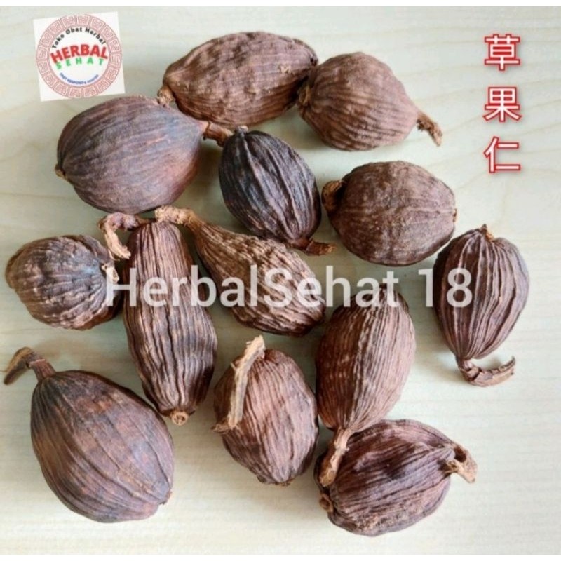 

Cao Guo Ren 50 Gram Black Cardamom Kapulaga Hitam Tsaoko Amomum Fruit - CHO KO JIN [PREMIUM]
