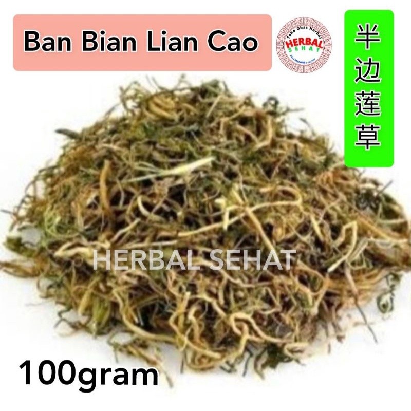 

Ban bian lian Lobelia chinensis 100 gram [PREMIUM]