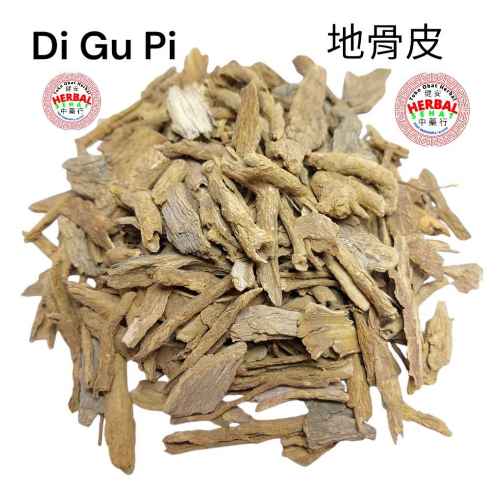 

Di Gu Pi Cortex Radicis Lycii / Lycium Bark - Thi Kut Phi - 100-300-600 gram [PREMIUM]