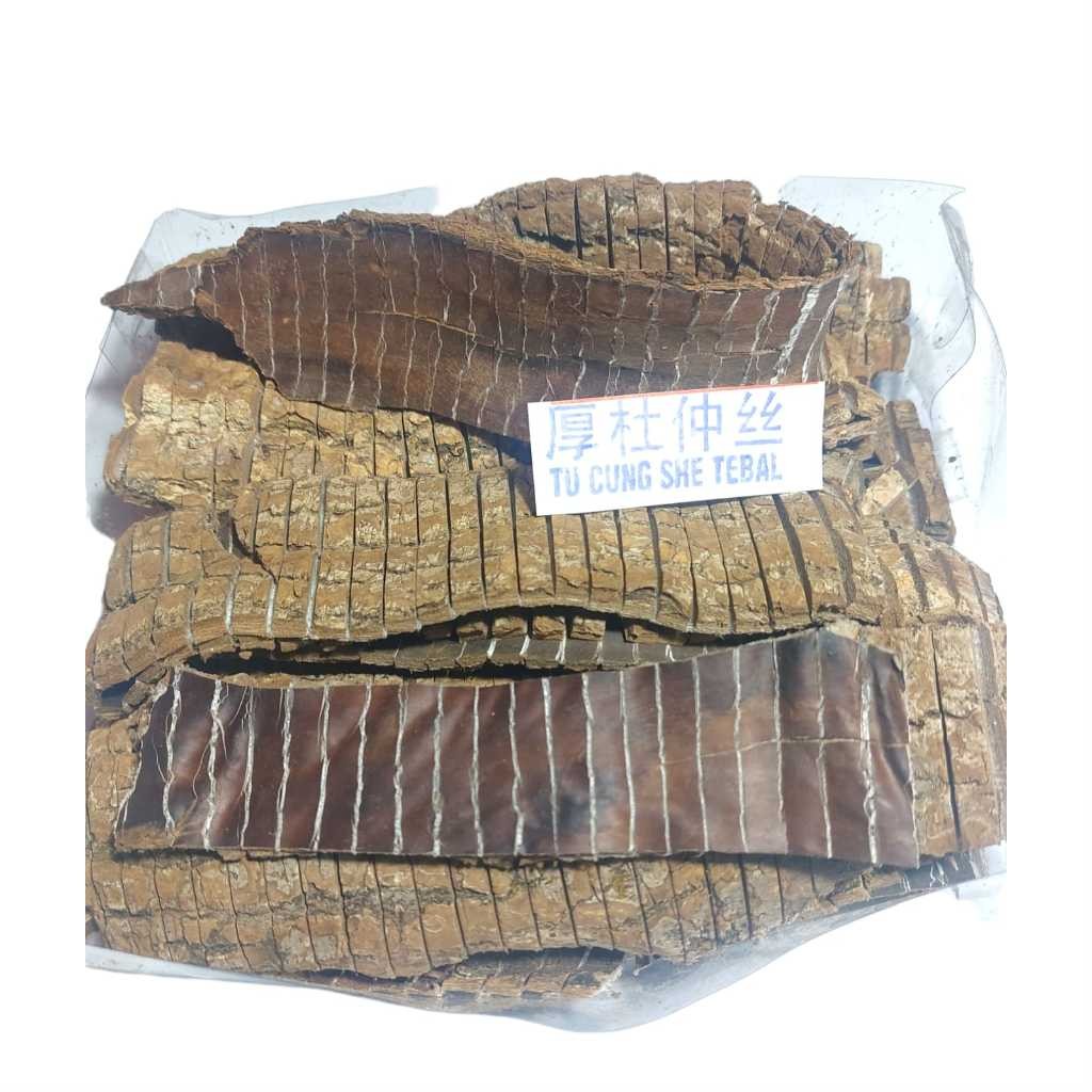 

Hou Du Zhong (TEBAL) Tu Chung - Cortex Eucommiae Ulmoidis 50-100 gram [PREMIUM]