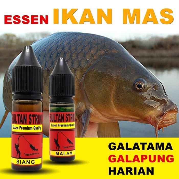 PREMIUM ESSEN IKAN MAS SULTAN STRIKE UMPAN PANCING GALATAMA GALAPUNG & HARIAN