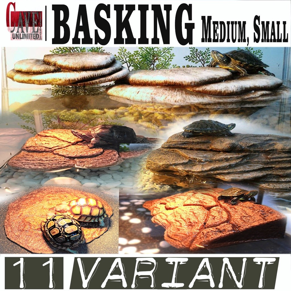 RB22 BASKING MEDIUM TEMPAT BERJEMUR BERLINDUNG SANTAI KURA KURA RES BRAZIL AMBON RAZOR TORTOISE