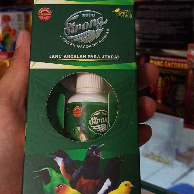 RB22 Ebod Strong Ebod Jaya