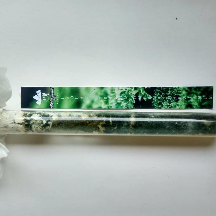 Isolat murni trichoderma harzianum media PDA