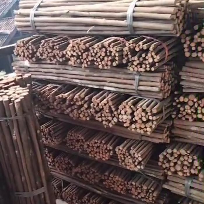 kayu asem bali kayu asem jawa kayu asem untuk tangkringan burung dan ayam hias ikatan