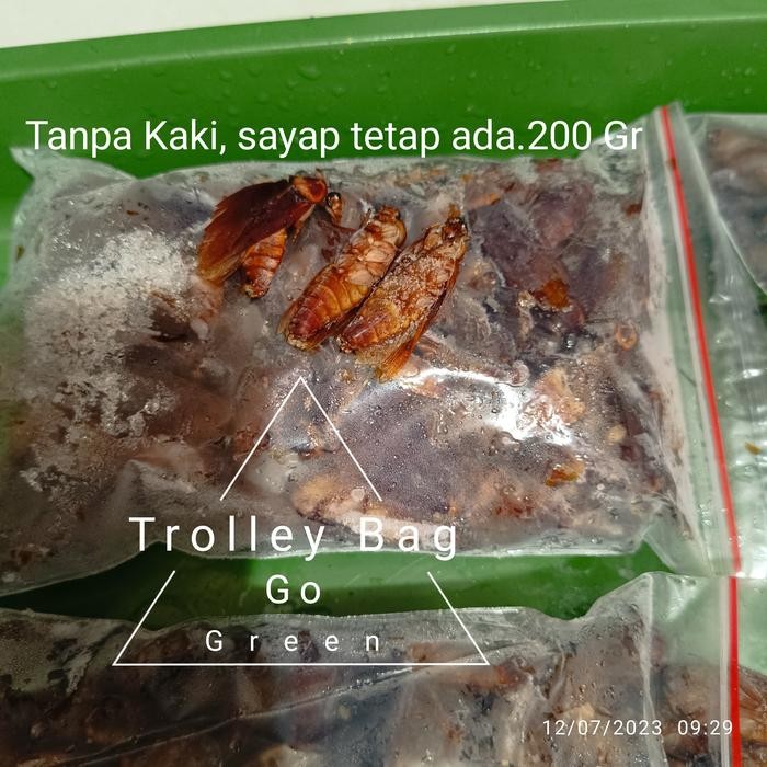 kecoa beku /kecoak beku/pakan arwana/pakan ikan predator