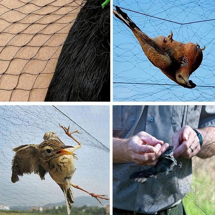 Jaring Burung Jala Penghalang Jebakan Perangkap Untuk Pagar Ayam Dll