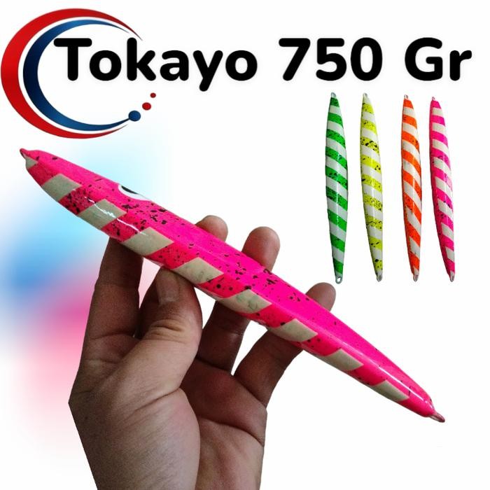 TOKAYO 800 GRAM METAL JIG