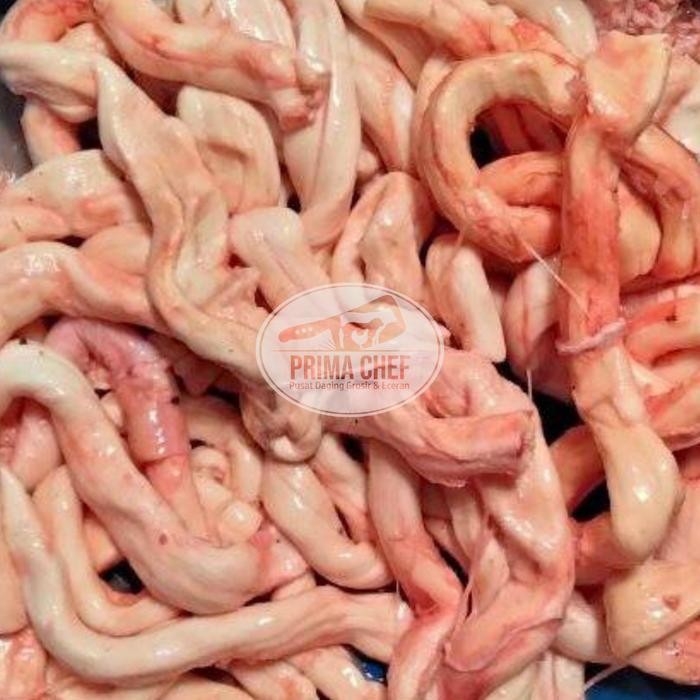 

olor sapi sum sum tulang punggung sapi otot sapi sum sum sapi