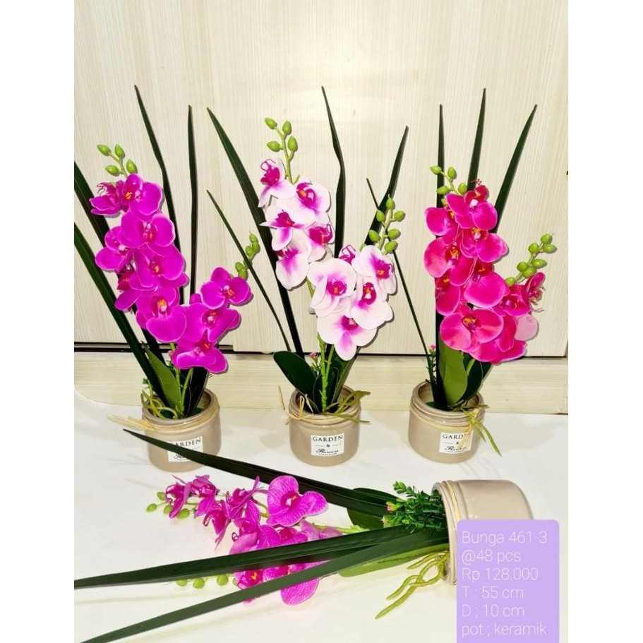 bunga anggrek 461-3 anggrek bulan pot keramik Kode 1060